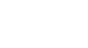De Nittis Group